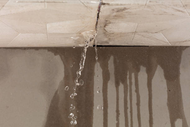 Professional Water Extraction technician working in Gilberts, IL